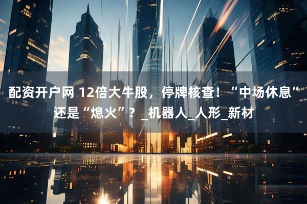 配资开户网 12倍大牛股，停牌核查！“中场休息”还是“熄火”？_机器人_人形_新材