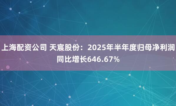 上海配资公司 天宸股份：2025年半年度归母净利润同比增长646.67%