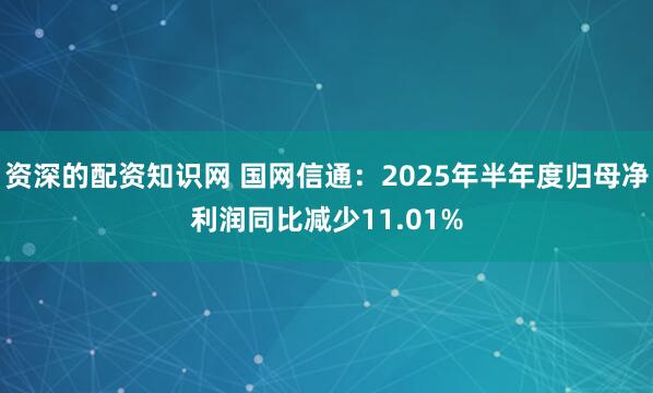 资深的配资知识网 国网信通：2025年半年度归母净利润同比减少11.01%