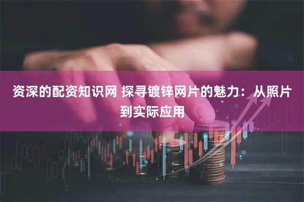 资深的配资知识网 探寻镀锌网片的魅力：从照片到实际应用